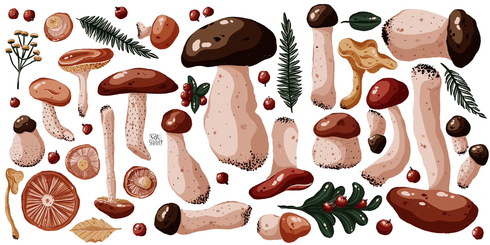 Mushrooms for theydrawtober challenge - Saturday Sketch illustration