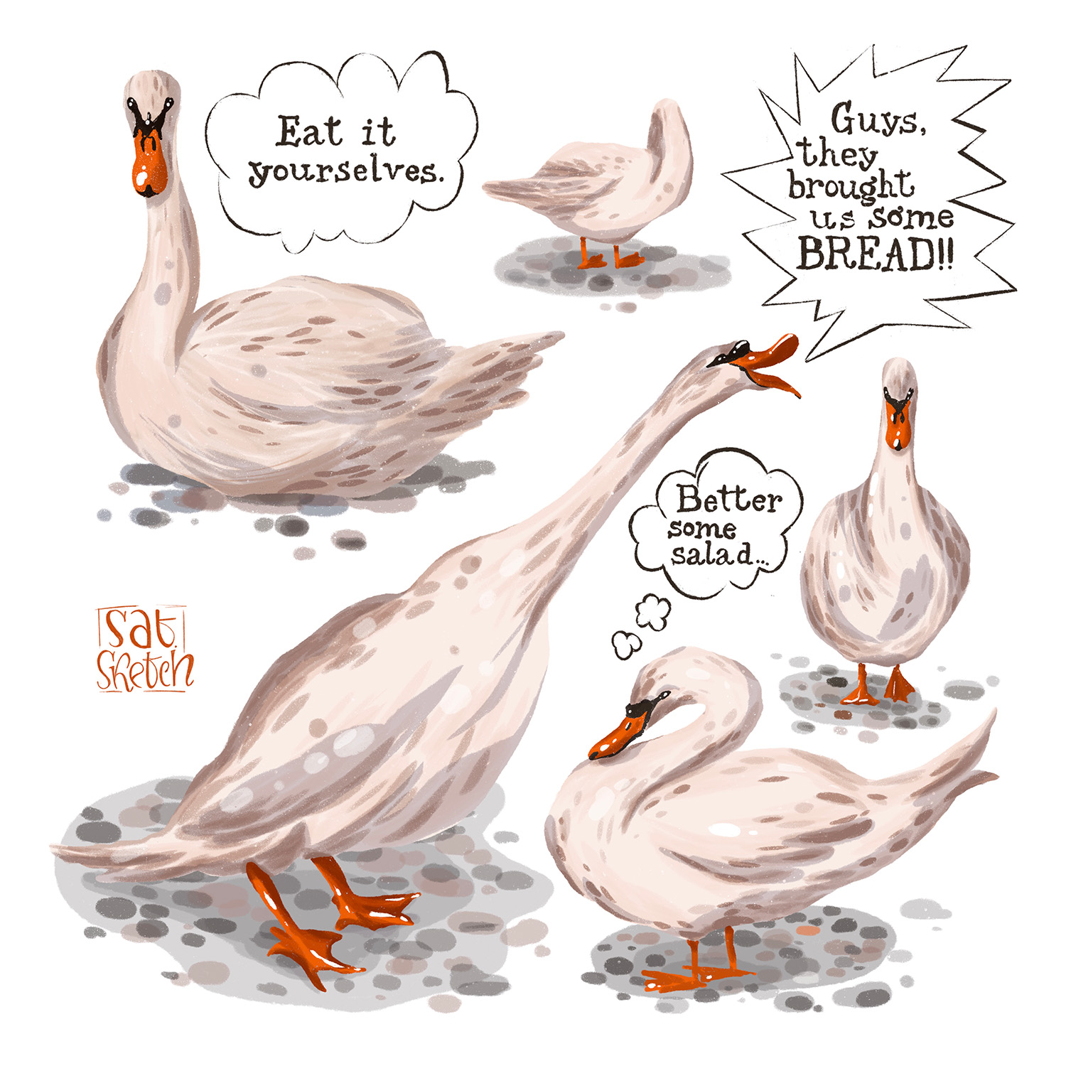 Postcard "Swans" - Swans do not want to eat bread - illustration by Saturday Sketch