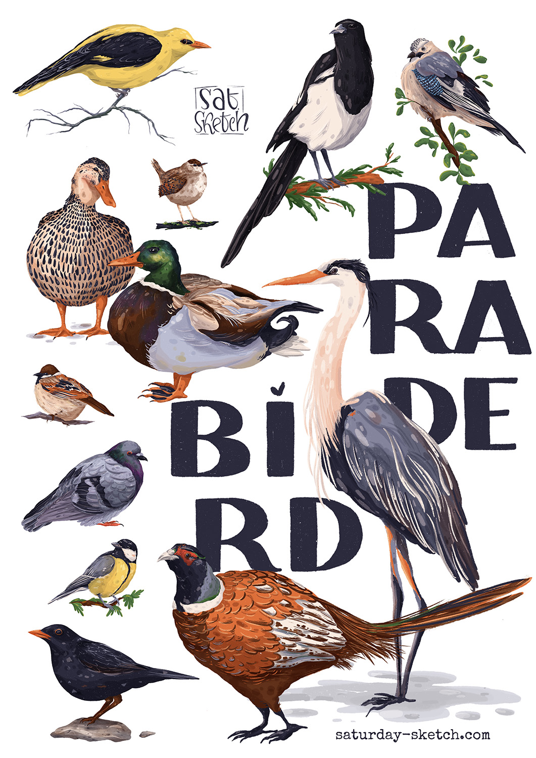 Bird Parade - illustration of birds by Tatiana Saturday Sketch