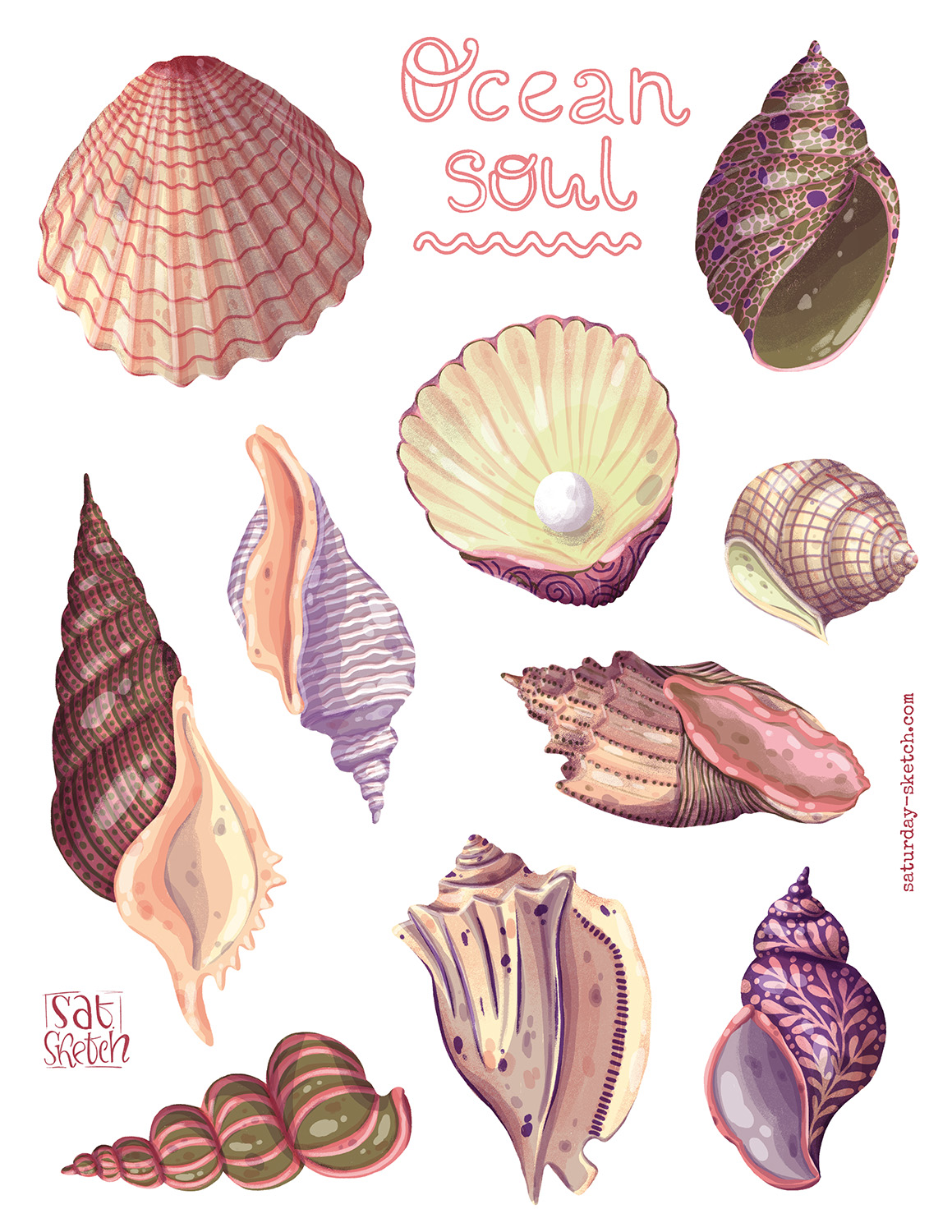 Seashells Stickers illustrated by Tatiana Saturday Sketch