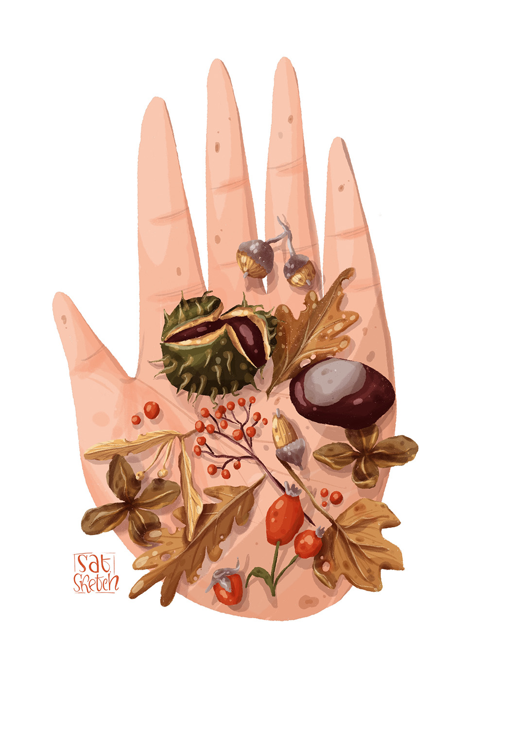 Autumn collection of leaves, nuts, flowers and berries on the hand illustrated by Tatiana Saturday Sketch